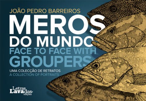 Meros do Mundo / Face to Face with Groupers - Image 2